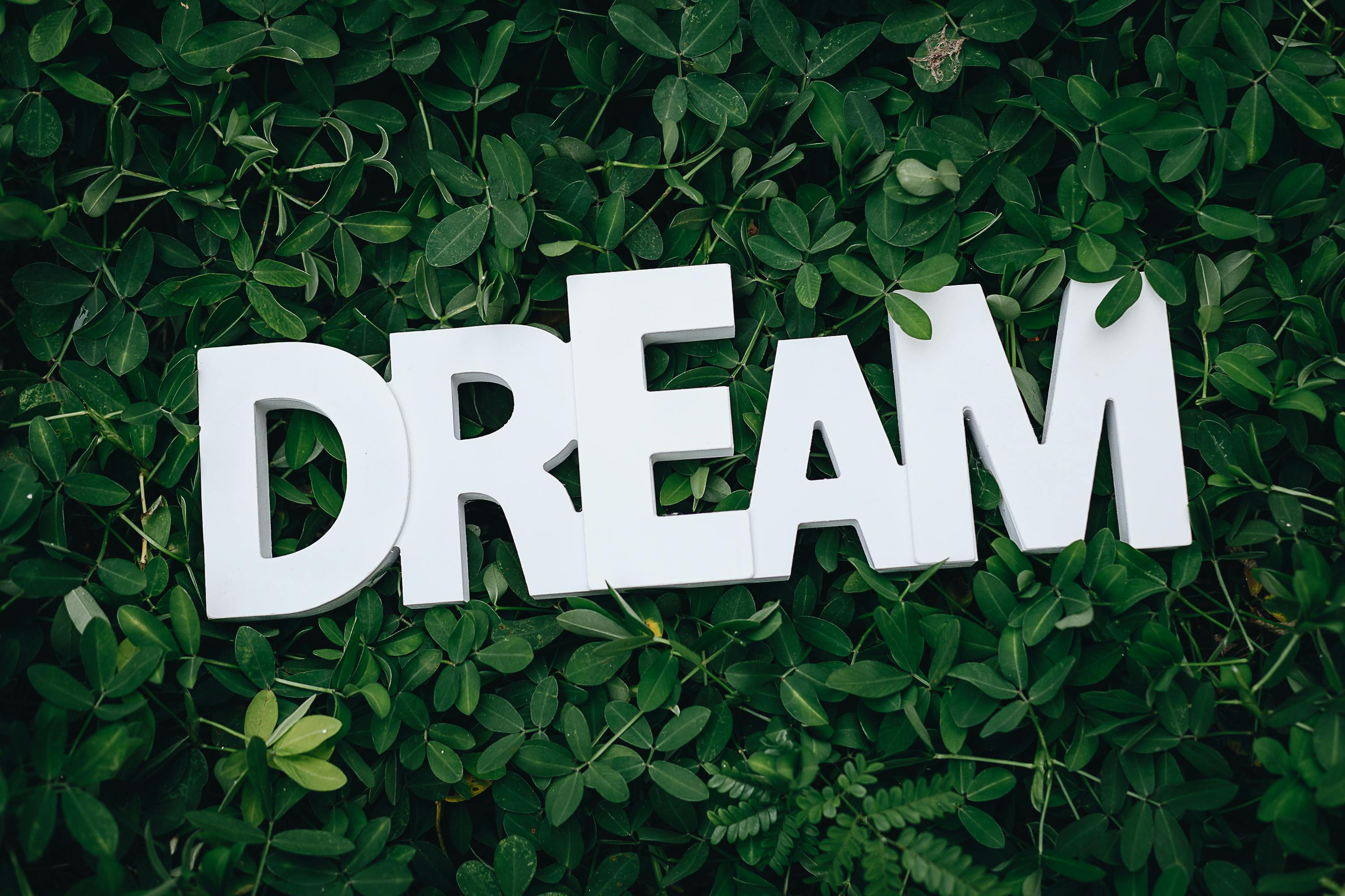From Dreams to Reality: Turning Your Passion into Purpose