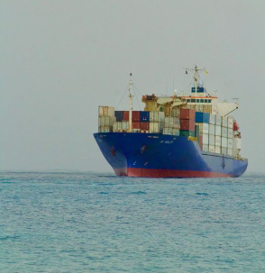 GI-Tagged Mithila Makhana Makes First Sea Shipment to Australia, Boosting Bihar&rsquo;s Export Prospects