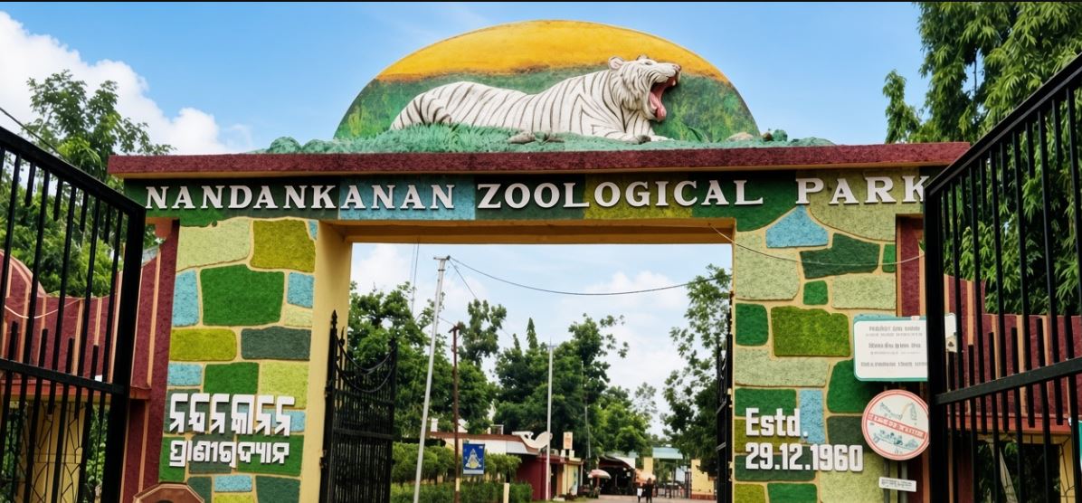 Nine-Month-Old Tiger Cub Dies at Nandankanan Zoo, Tiger Count Falls to 26
