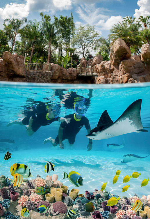 Explore Kissimmee&rsquo;s Ultimate Water Park Experiences.