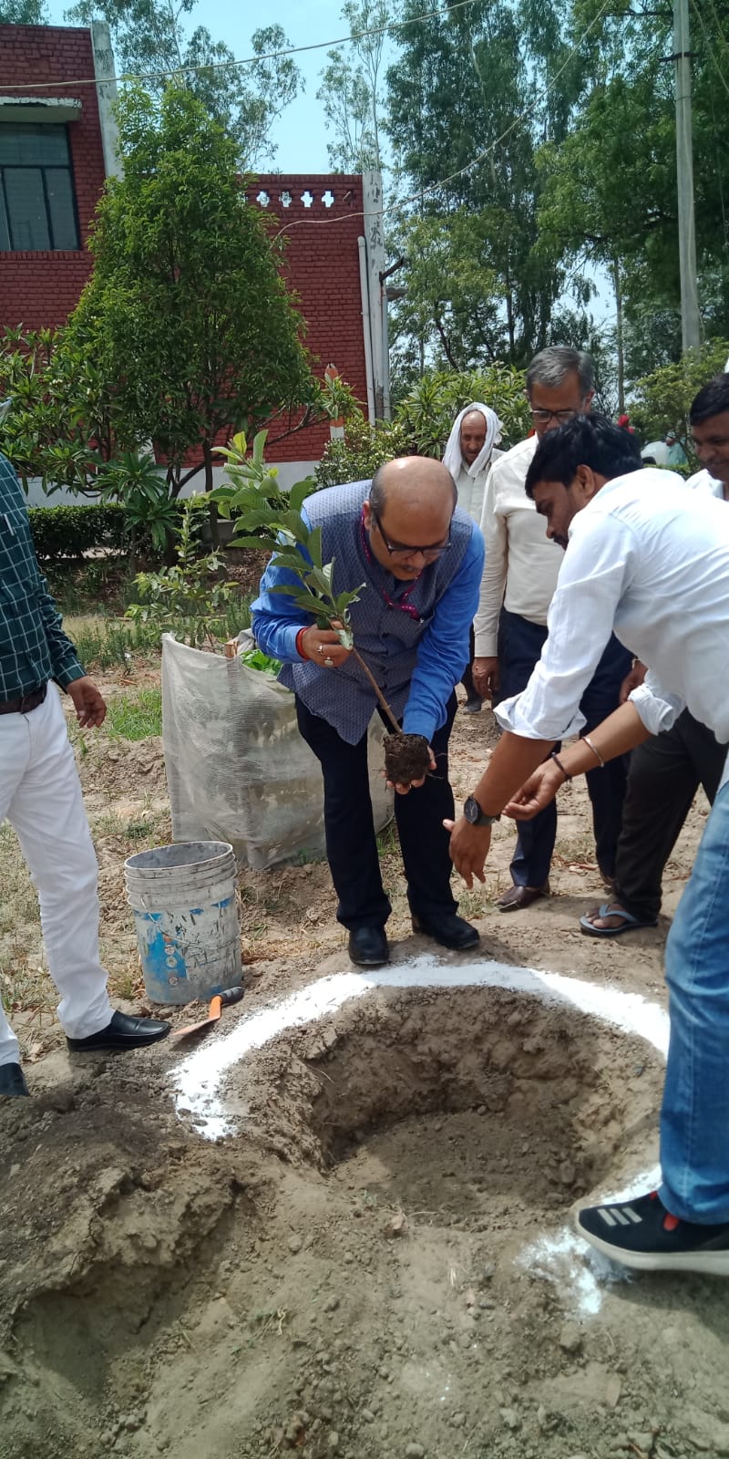 NABARD, New Delhi marks World Environment Day 2026