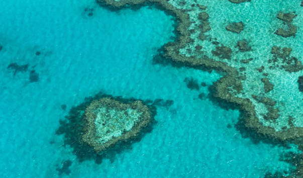 New Scientific Approach Offers Fresh Insight Into Great Barrier Reef Health