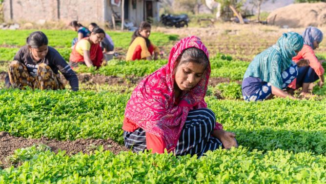 Rural Entrepreneurship in India and the Future of Farm-Based Businesses