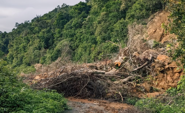 Massive Landslide Disrupts Jammu-Srinagar Highway, Restoration Work Underway