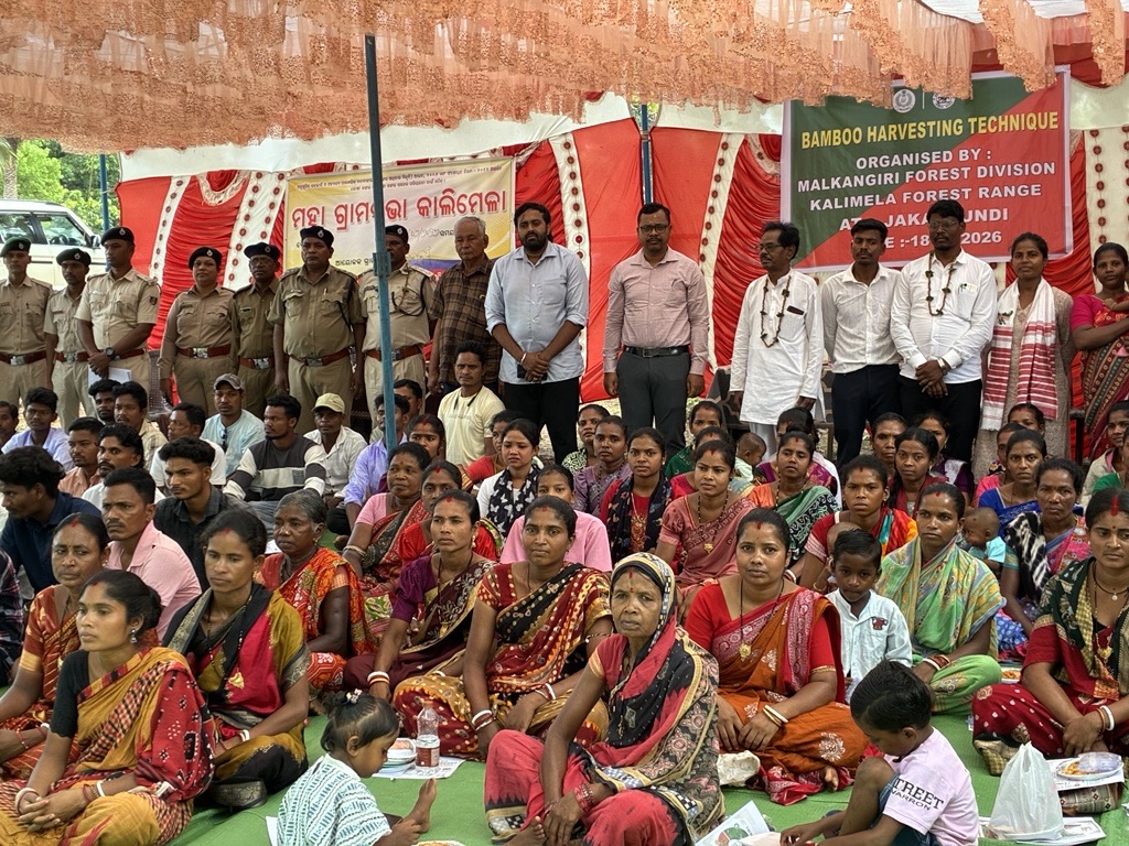 Scientific Bamboo Harvesting Training Marks Start of Community Forest Economy Pilot in Malkangiri