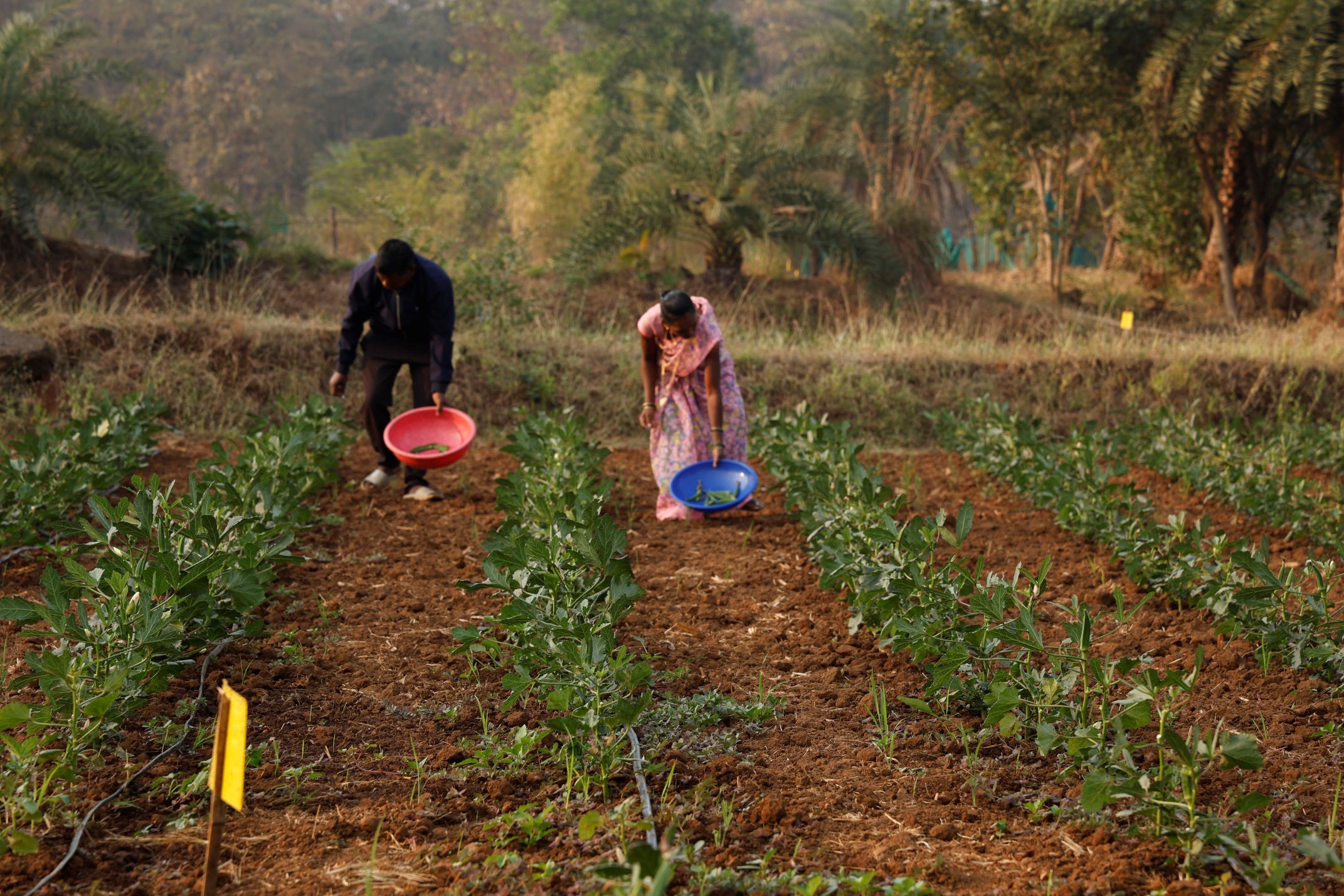 Tata Motors Foundation&rsquo;s Integrated Village Development Programme reaches nearly 200 villages nationwide