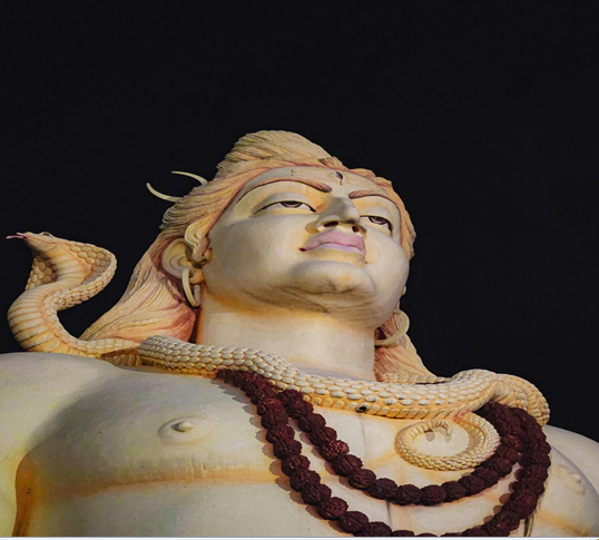 Rudraksha: Sacred Beads of Shiva and Spiritual Wisdom