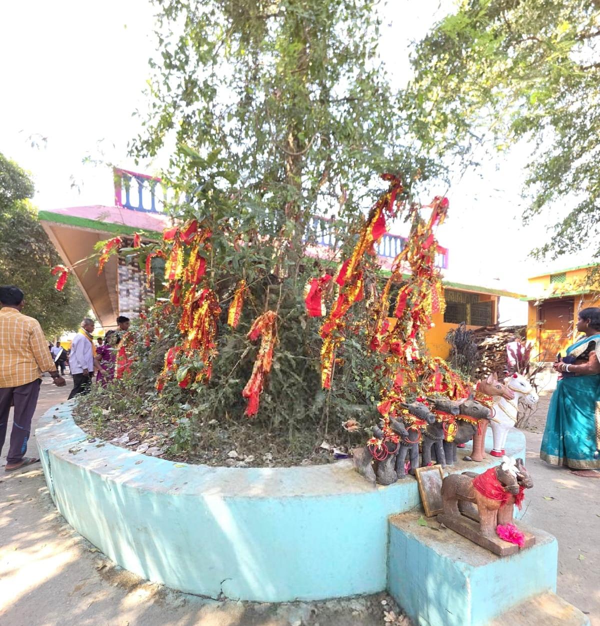Maa Gojabayani Temple: The Spiritual Heart of Marsaghai, Kendrapara, Odisha