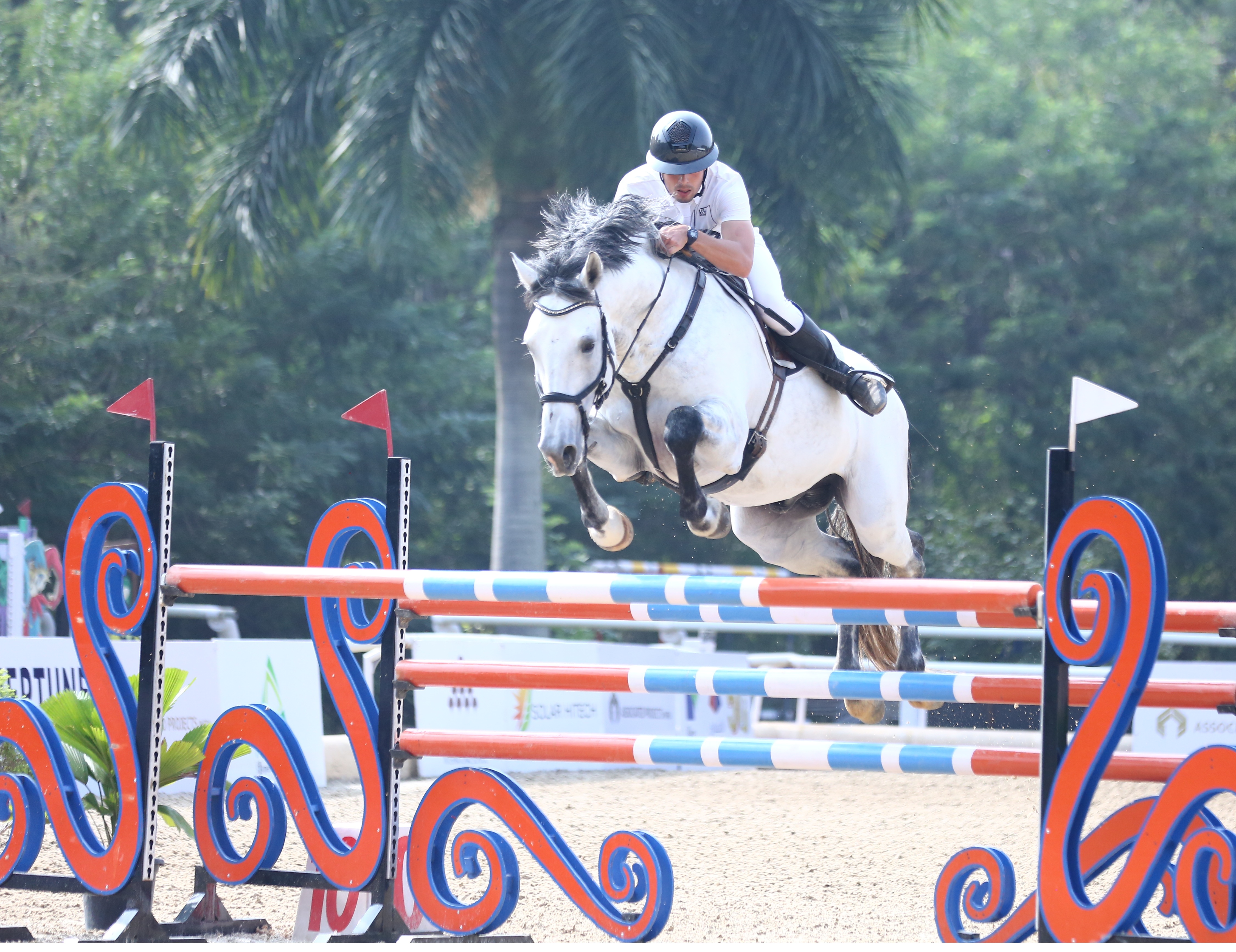 Listicle: 16th Edition of the Equestrian Premier League 2026