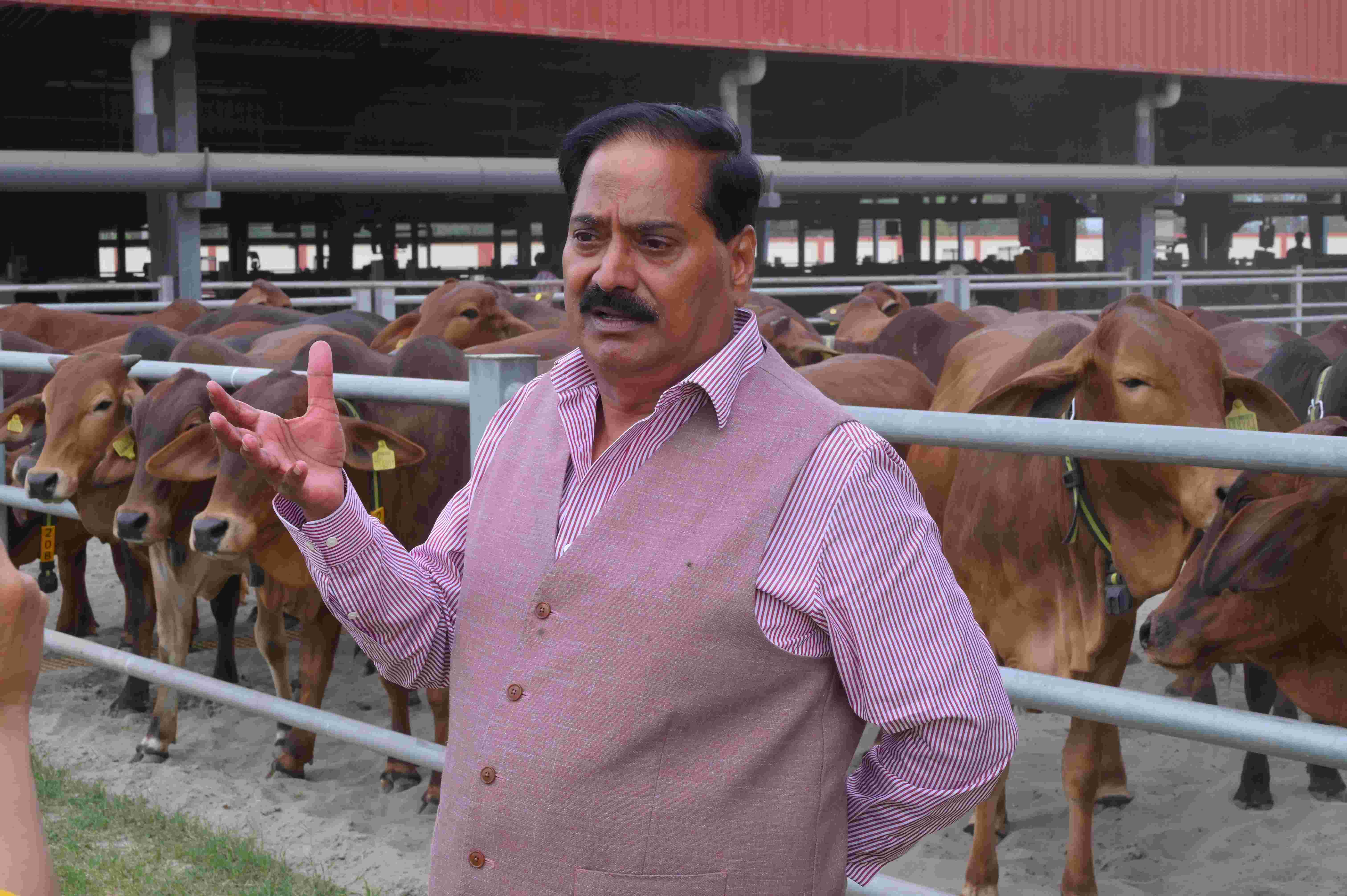 India successfully carries out&nbsp;first of its kind Pure Gir Embryo Transfer programme&nbsp;at scale